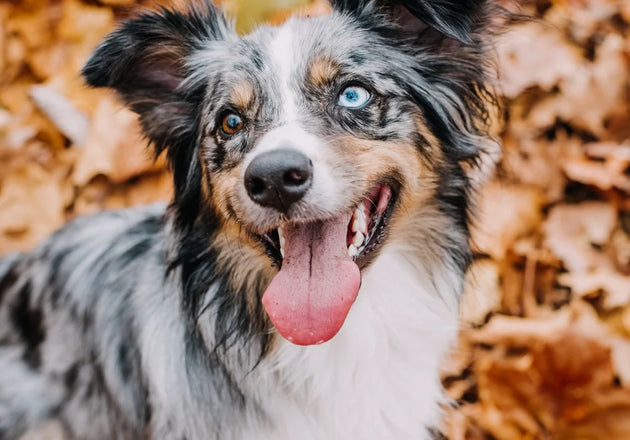 Play as training: turning everyday games into better behavior