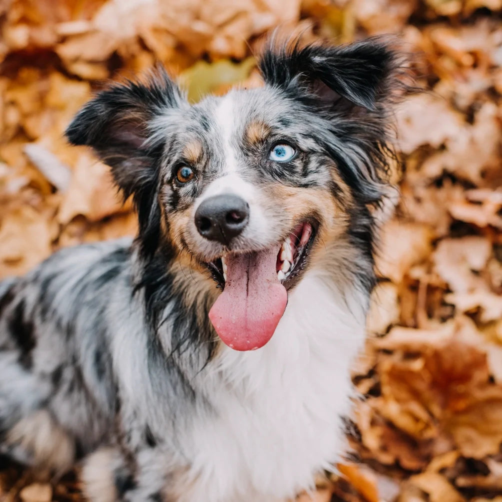 Play as training: turning everyday games into better behavior