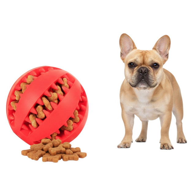 Interactive Treat Ball