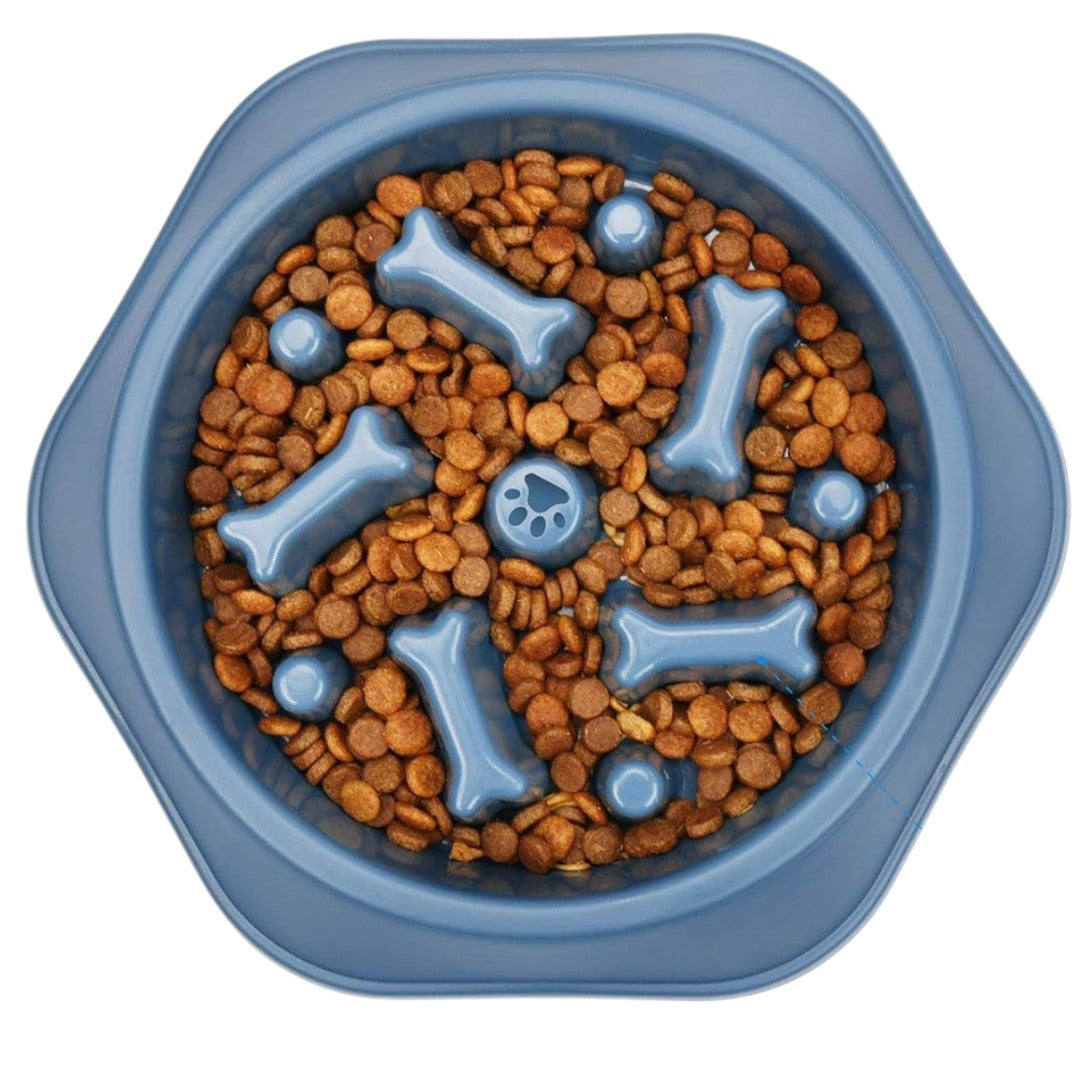 Slow Feeder Dog Bowl
