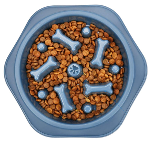 Slow Feeder Dog Bowl