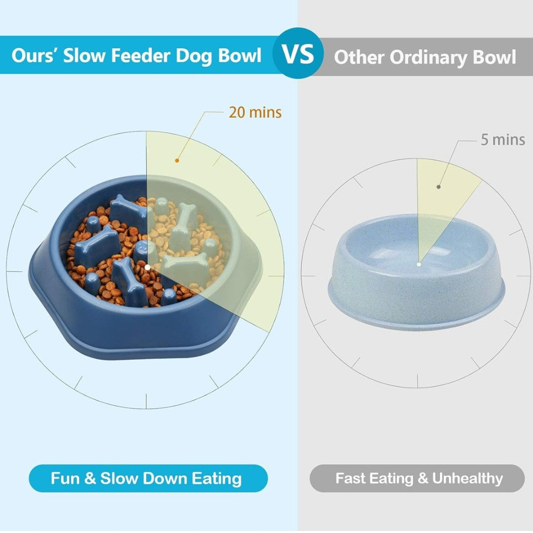 Slow Feeder Dog Bowl