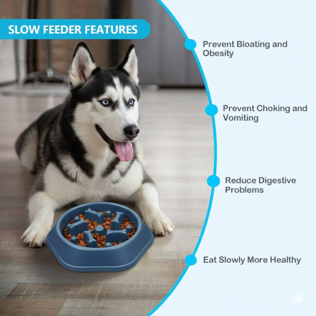 Slow Feeder Dog Bowl