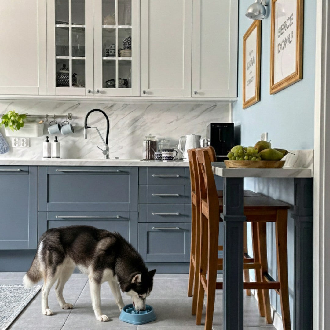 Slow Feeder Dog Bowl