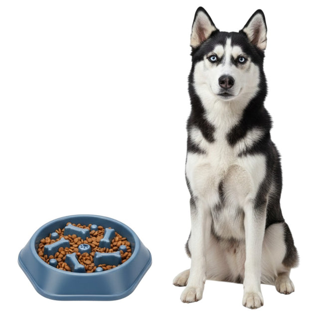 Slow Feeder Dog Bowl