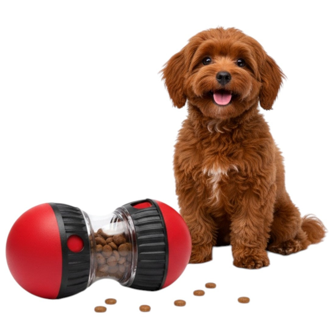 Slow Feeder Treat Ball